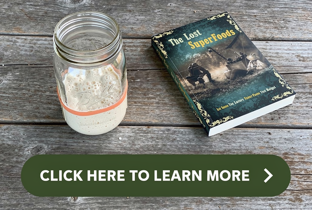 The Lost SuperFoods book beside a mason jar of bubbly sourdough starter on a weathered homestead porch table, with a Click Here to Learn More button.